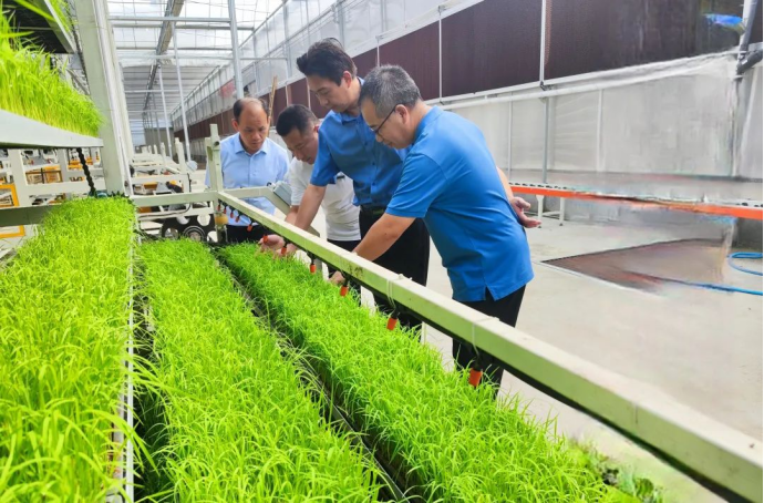 1704697345667.jpg 1704697345667.jpg