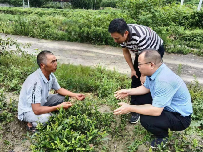 1704698151850.jpg 1704698151850.jpg