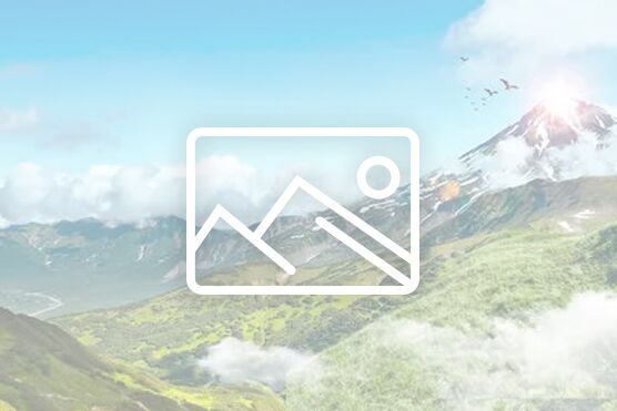 香蕉成人臿臿在线观看消防安全管理指导手册